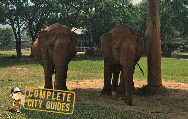 Elephant Nature Park