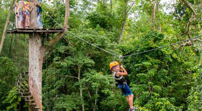 Jungle Zipline
