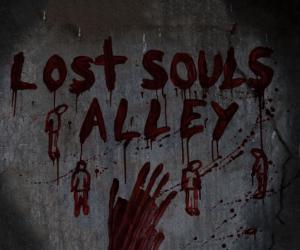 Kocia Kawiarnia Kociarnia (Cat Cafe)