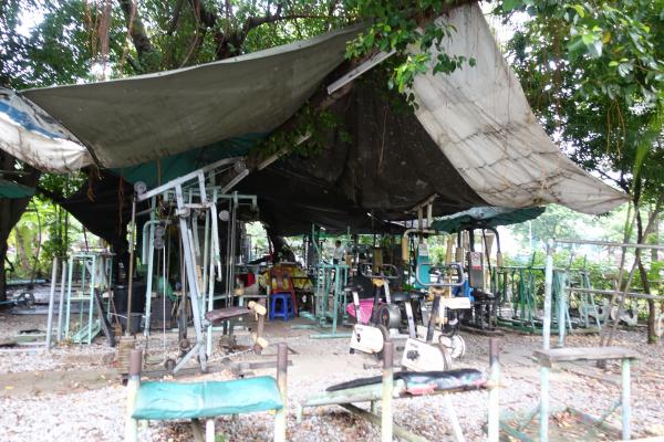 Lumpini Park  Free Outdoor Gym