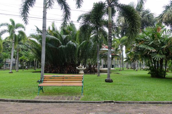 Lumpini Park Grass Walk